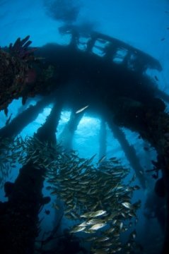 bonaire2015-106