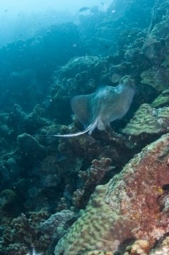 bonaire2015-22