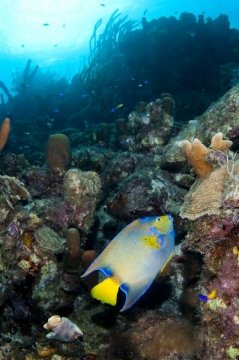 bonaire2015-23