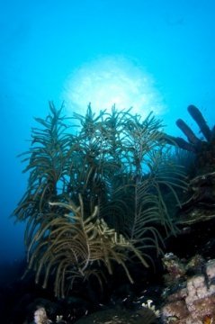 bonaire2015-24