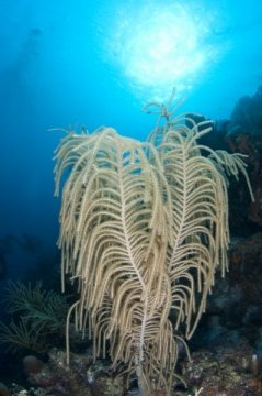 bonaire2015-25