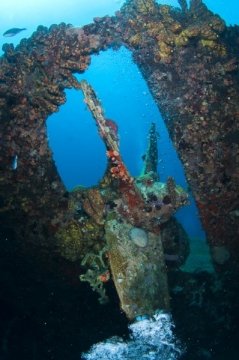 bonaire2015-26